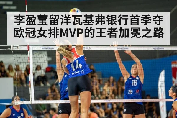 volleyball match action