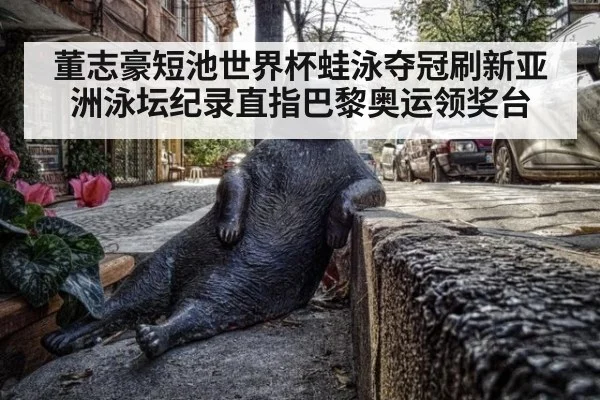 董志豪短池世界杯蛙泳夺冠刷新亚洲泳坛纪录直指巴黎奥运领奖台